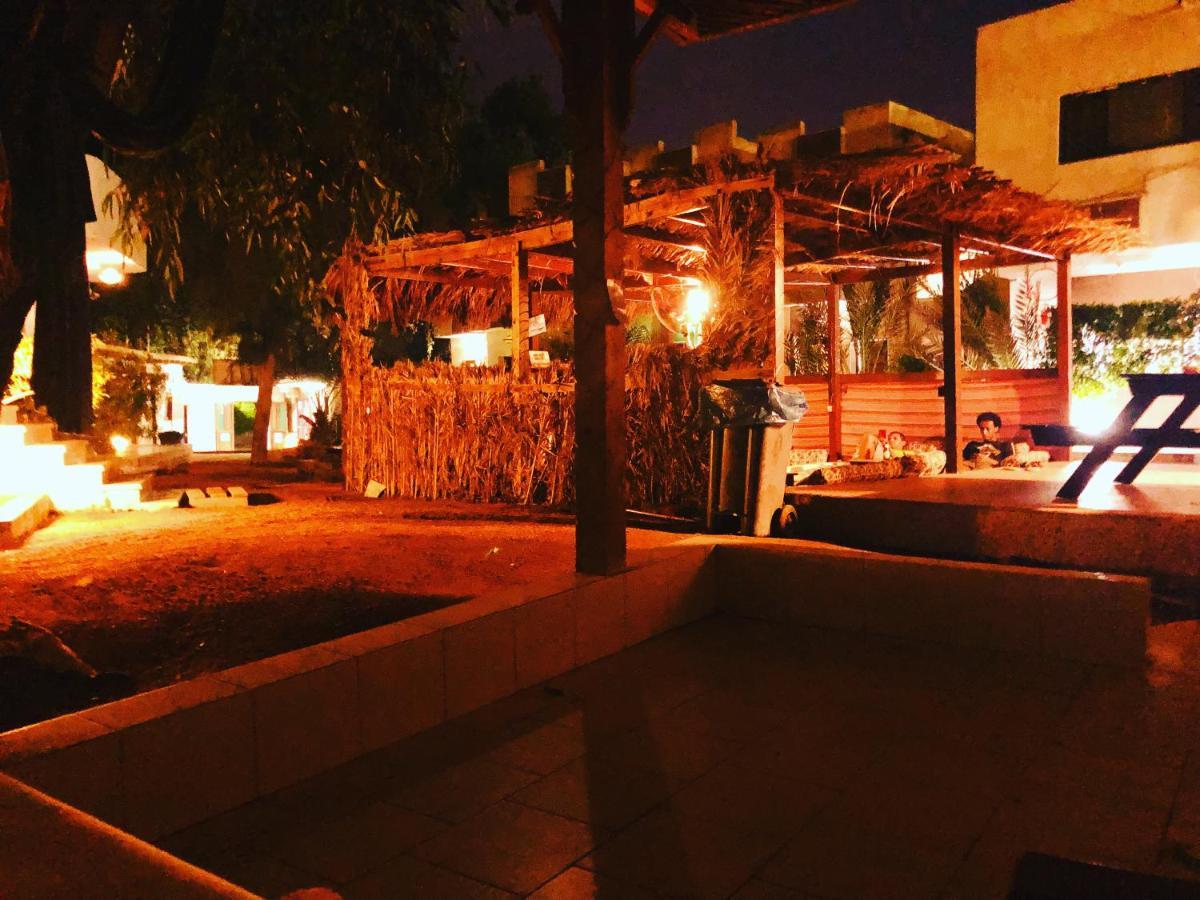 דהב Oasis Fighting Kangaroo מראה חיצוני תמונה